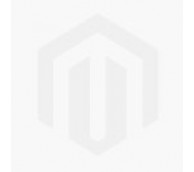 Ergodyne Elastic Back Support - Various Sizes